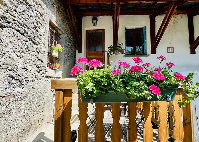 Le Reve *